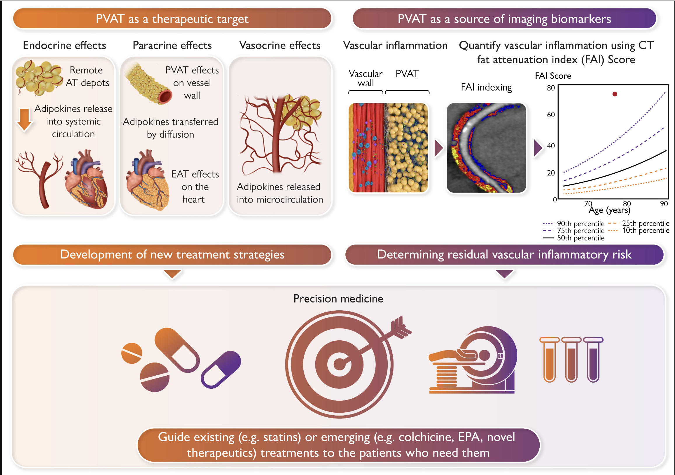 Perivascular adipose tissue (PVAT) as a source of imaging biomarkers and a therapeutic target. FAI, fat attenuation index.